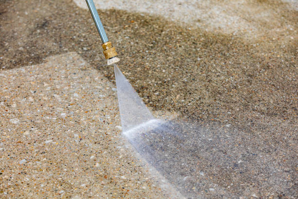 Animal Enclosure Cleaning in Langley, SC